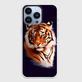 Чехол для iPhone 13 Pro с принтом Грозный Тигр | Символ 2022 Года | Tiger Beast ,  |  | 2022 | beast | black | cat | christmas | merry | new year | tiger | xmas | водяной | год тигра | животные | зверь | когти | кот | кошки | новый год | огонь | паттерн | полосатый | рождество | тигр | узор | чб | черный