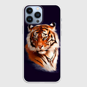 Чехол для iPhone 13 Pro Max с принтом Грозный Тигр | Символ 2022 Года | Tiger Beast ,  |  | Тематика изображения на принте: 2022 | beast | black | cat | christmas | merry | new year | tiger | xmas | водяной | год тигра | животные | зверь | когти | кот | кошки | новый год | огонь | паттерн | полосатый | рождество | тигр | узор | чб | черный