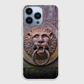 Чехол для iPhone 13 Pro с принтом Lion gate ,  |  | ears | eyes | fangs | gate | jaw | lion | mane | metal | muzzle | ворота | грива | клыки | лев | металл | пасть | уши