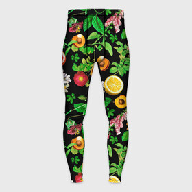 Мужские тайтсы 3D с принтом Фруктовый сад ,  |  | Тематика изображения на принте: абрикосы | лето | листья | овощи | персики | сок | фруктовый сад | фрукты | цветы