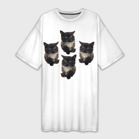 Платье-футболка 3D с принтом Чмоня ,  |  | животные | кот | котики | коты | мем | мем 2022 | мемы | тренд