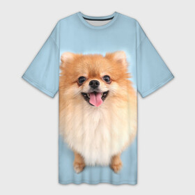 Платье-футболка 3D с принтом Щенок Померанского Шпица ,  |  | голубая | померанский | рыжий | с принтом собаки | с собаками | с собакой | со шпицем | со щенком | собака | шпиц | щенок