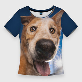Женская футболка 3D Slim с принтом Собакен  улыбка ,  |  | домашние | животные | звери | нос | прикольная | собака | улыбка