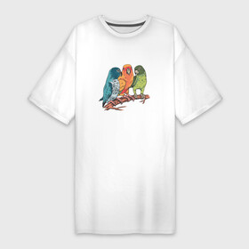 Платье-футболка хлопок с принтом Три волнистых попугая на ветке ,  |  | cute | parrot | parrots | ветка | волнистый попугай | милота | попуг | попугай | попугайчик | попугайчики | попугчик | с попугаем | с попугаями
