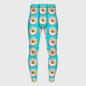 Мужские тайтсы 3D с принтом CHAMOMILE FLOWERS ,  |  | beautiful | floral | green | natural | nature | pattern | plant | spring | summer | white | yellow | белый | весна | желтый | зеленый | красивый | лето | натуральный | природа | растение | ромашка | узор | цветочный