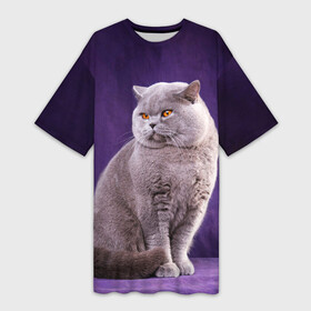 Платье-футболка 3D с принтом Британская кошка ,  |  | british cat | английская кошка | британец | британская вислоухая кошка | британская кошка | британский кот | вислоухий британец | вислоухий котенок британец | кот британец | котенок британец