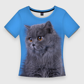 Женская футболка 3D Slim с принтом Британская длинношерстная кошка ,  |  | british cat | английская кошка | британец | британская вислоухая кошка | британская кошка | британский кот | вислоухий британец | вислоухий котенок британец | кот британец | котенок британец