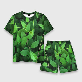 Мужской костюм с шортами 3D с принтом Вьюнок ,  |  | ветки | вьюнок | для охоты | для прогулок | для путешествий | для рыбалки | зеленый | зелень | камуфляж | лето | лимонник | листва | листья | лоза | природа | природный | растения | текстура | экология