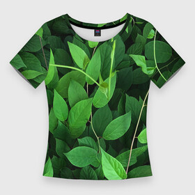 Женская футболка 3D Slim с принтом Вьюнок ,  |  | ветки | вьюнок | для охоты | для прогулок | для путешествий | для рыбалки | зеленый | зелень | камуфляж | лето | лимонник | листва | листья | лоза | природа | природный | растения | текстура | экология