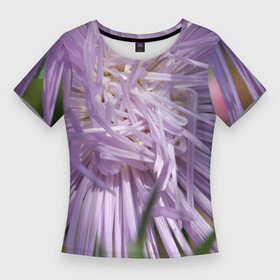 Женская футболка 3D Slim с принтом Астра в стиле хаос ,  |  | астра | беспорядок | дача | игла | лепесток | лето | природа | растение | тонкий | участок | фазенда | фиолетовый | хоас | цветение | цветовод | цветоводство | цветок | цветы