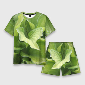 Мужской костюм с шортами 3D с принтом Зеленые листья после дождя ,  |  | Тематика изображения на принте: абстракция | вода | дача | дождь | зеленая | зеленый | изгиб | камуфляж | капля | лето | лист | листок | листья | маскировка | природа | растение | участок | фазенда | цветовод | цветоводство