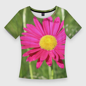 Женская футболка 3D Slim с принтом Гадай на розовой ромашке ,  |  | декоративная | декоративный | лепесток | лето | природа | растение | розовая | розовый | ромашка | сад | садовая | цветение | цветовод | цветоводство | цветок | цветы