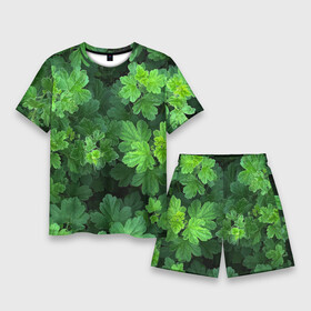 Мужской костюм с шортами 3D с принтом Бархатистый крыжовник ,  |  | бархатный крыжовник | зеленый | зелень | камуфляж | крыжовник | лето | листва | листья | природа | природный | растения | текстура