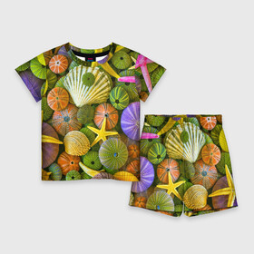 Детский костюм с шортами 3D с принтом Композиция из морских звёзд и ракушек ,  |  | color | composition | shell | starfish | композиция | морская звезда | ракушка | цвет