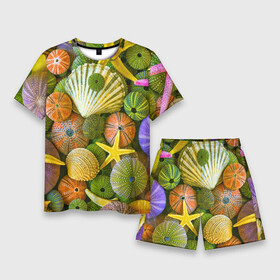Мужской костюм с шортами 3D с принтом Композиция из морских звёзд и ракушек ,  |  | color | composition | shell | starfish | композиция | морская звезда | ракушка | цвет