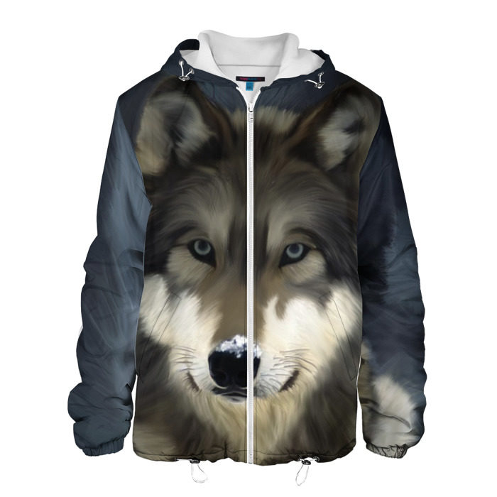 Куртка волки мужская. Картина на куртке. Мужская одежда зима с волком. Volki куртки мужские зимние.