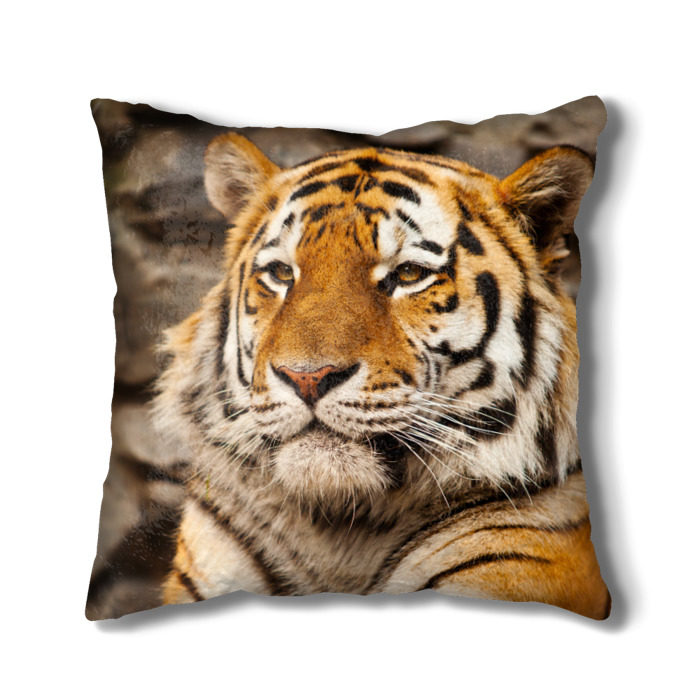 people_2_cushion_full_front_white_700.jpg