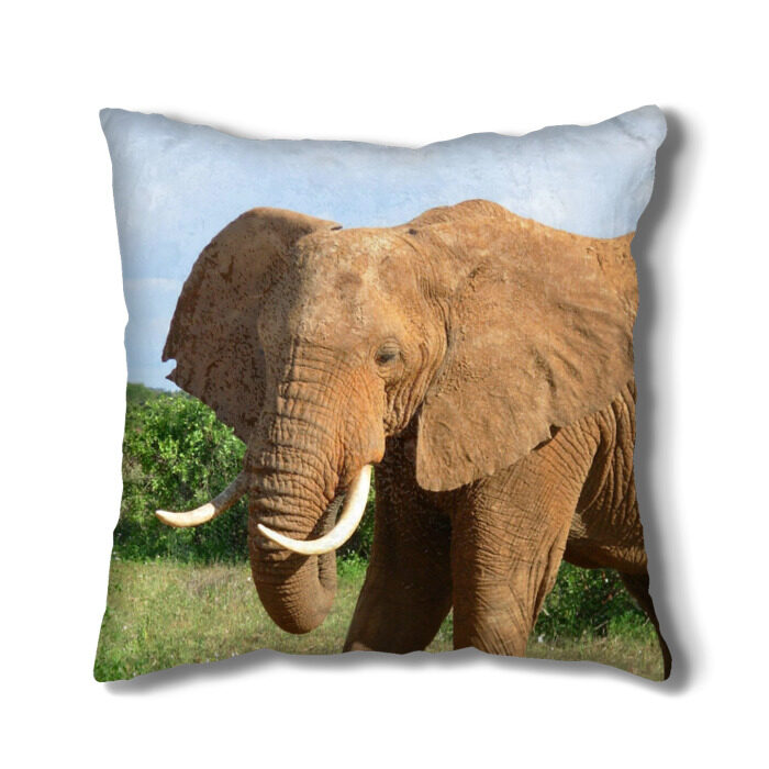 Сайт слон интернет магазин. Подушка с тремя слонами. 3 Слона. Фуриал слон. Слон берет.