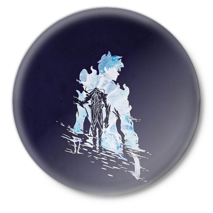 Значок Сон Джин-Ву фото